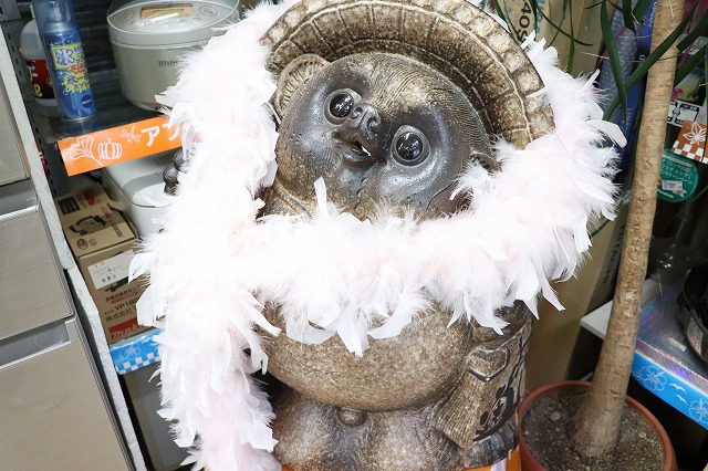 当店のマスコット(!?) 信楽焼のたぬきちゃん！