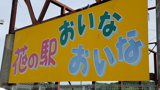 この看板が目印です