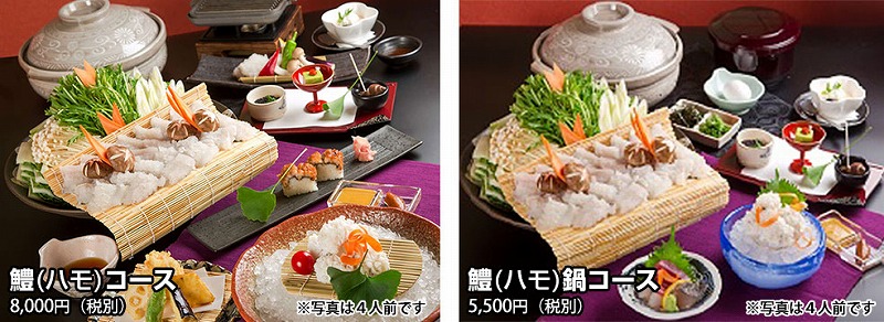 鱧（ハモ）は「辰が鱧」として、《プレミア和歌山》に認定されています