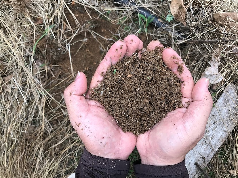 植物は地中の根っこが大事です。土作りが土台になります