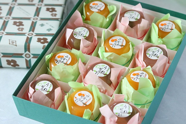 「有田産みかんゼリー」と「うめゼリー」が入った１２個入りギフトセット